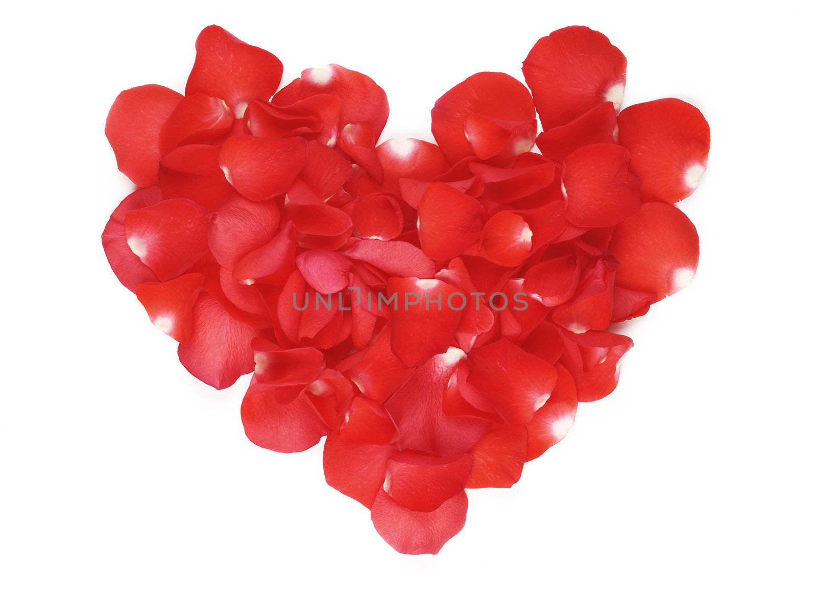 Heart made with red rose petals 