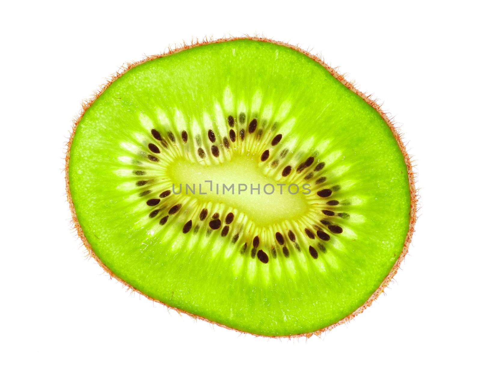 Kiwi isolated on white background