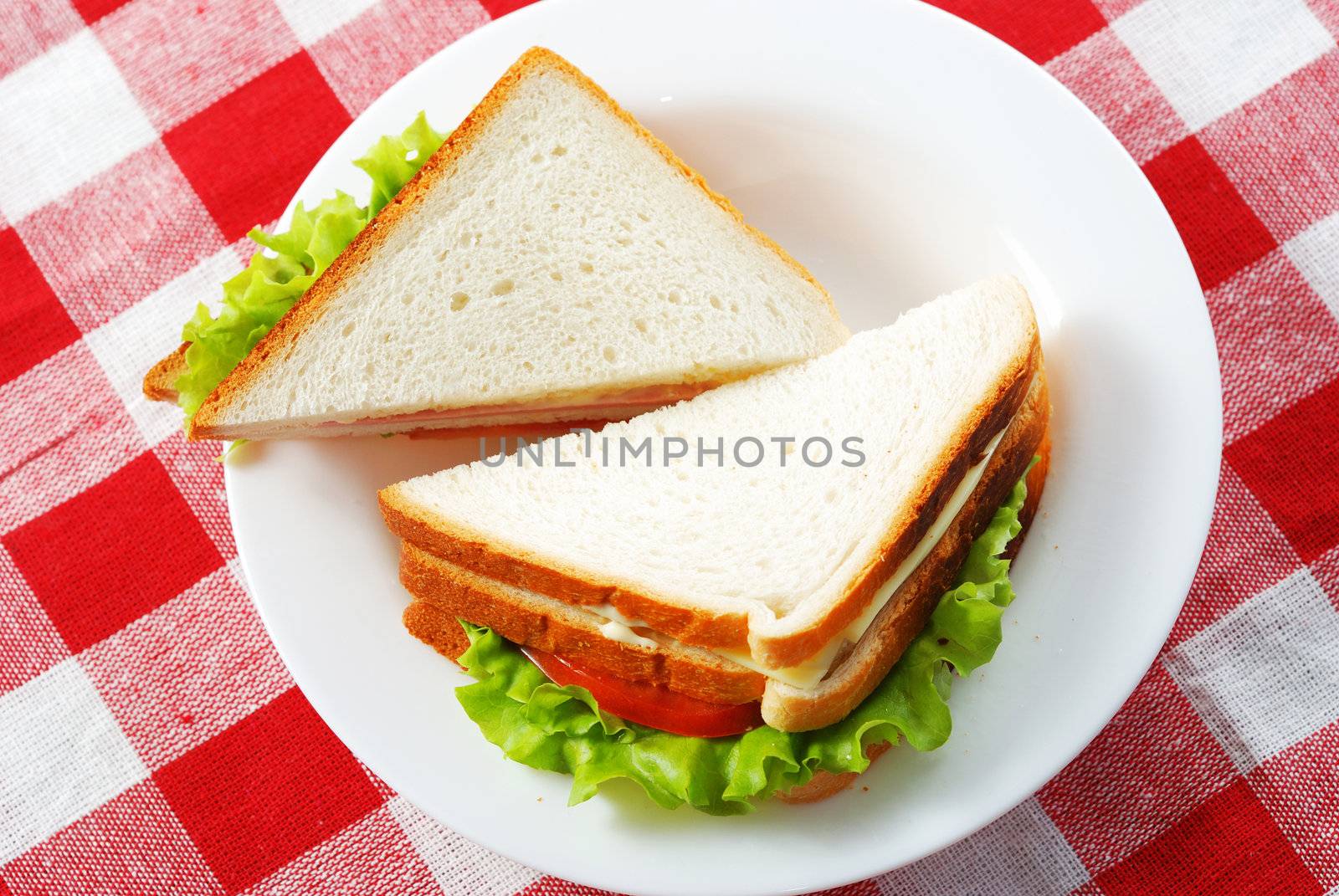 Two sandwiches on a plate