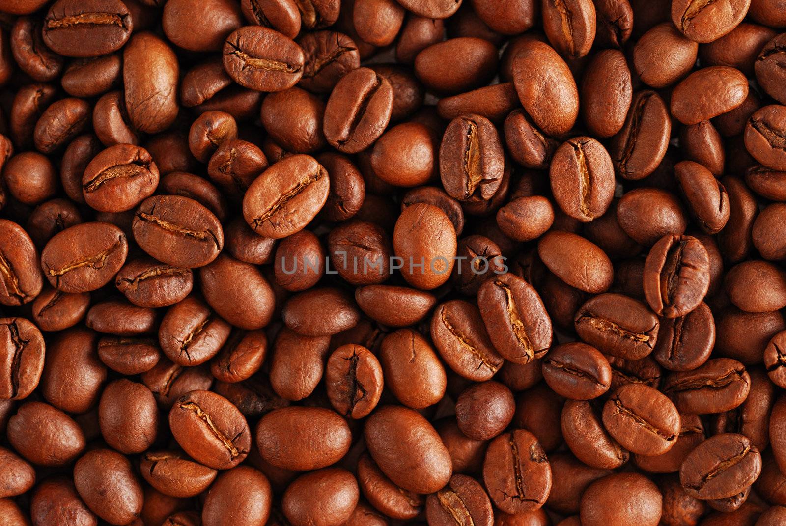 Coffee beans background close up