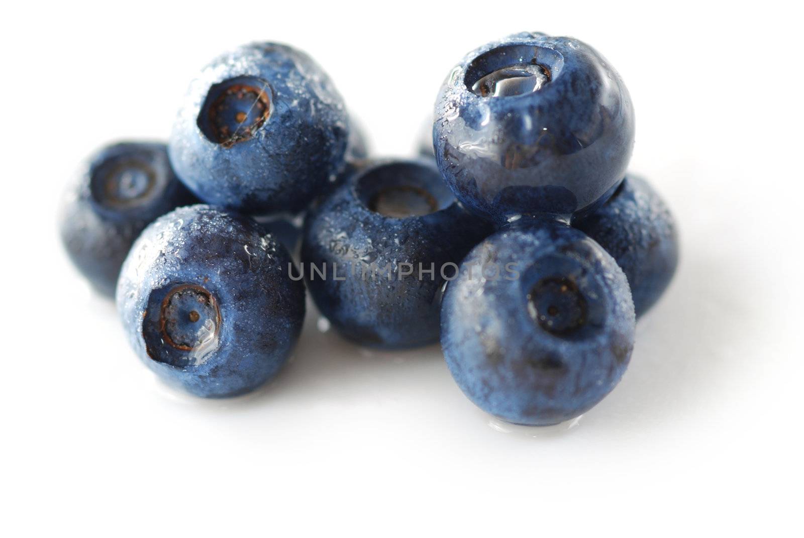 Blueberries over white background. Shallow depth of field.