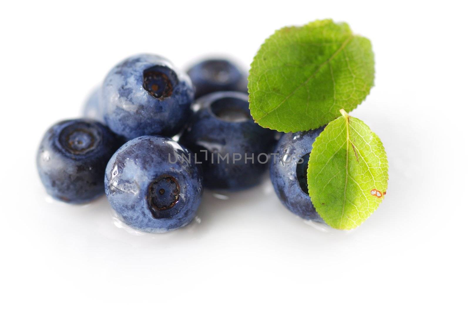 Blueberries over white background. Shallow depth of field.