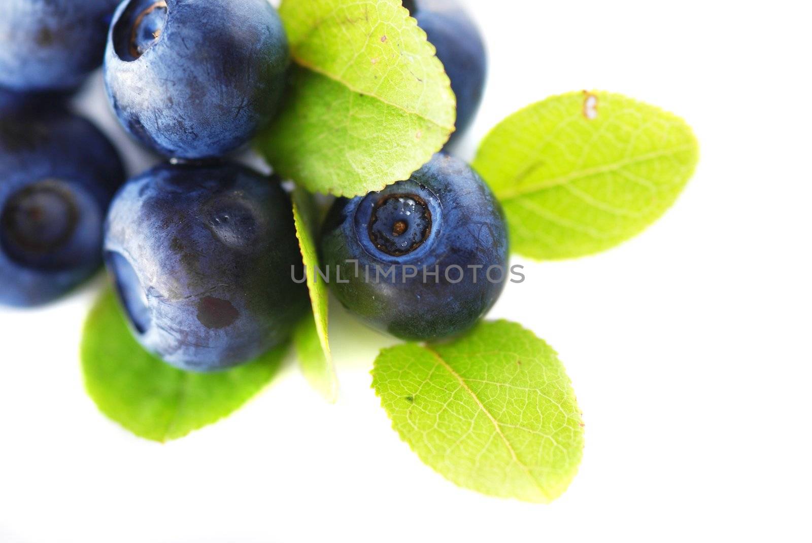 Blueberries by haveseen