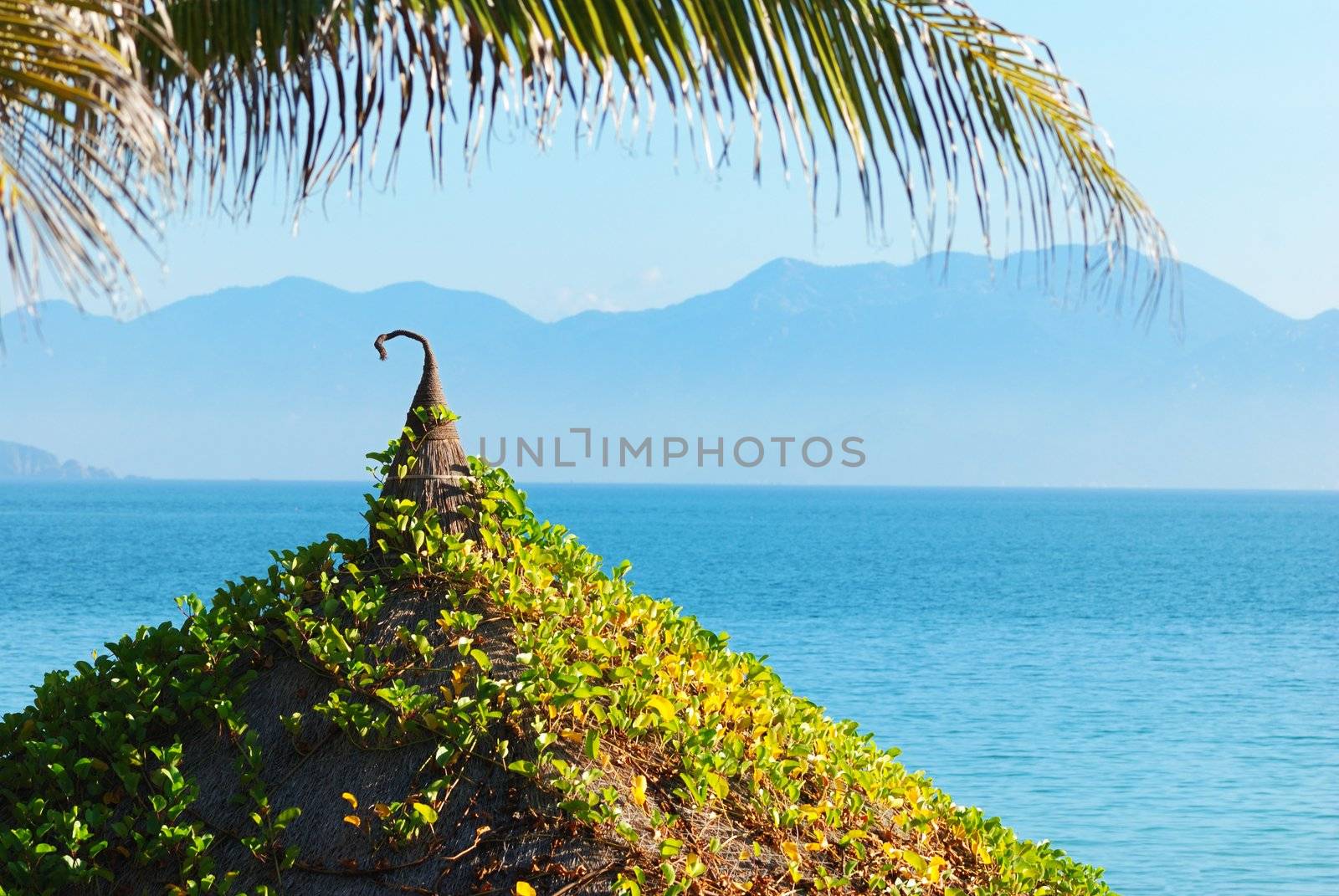 Beach Scene, Pacific ocean, Vietnam