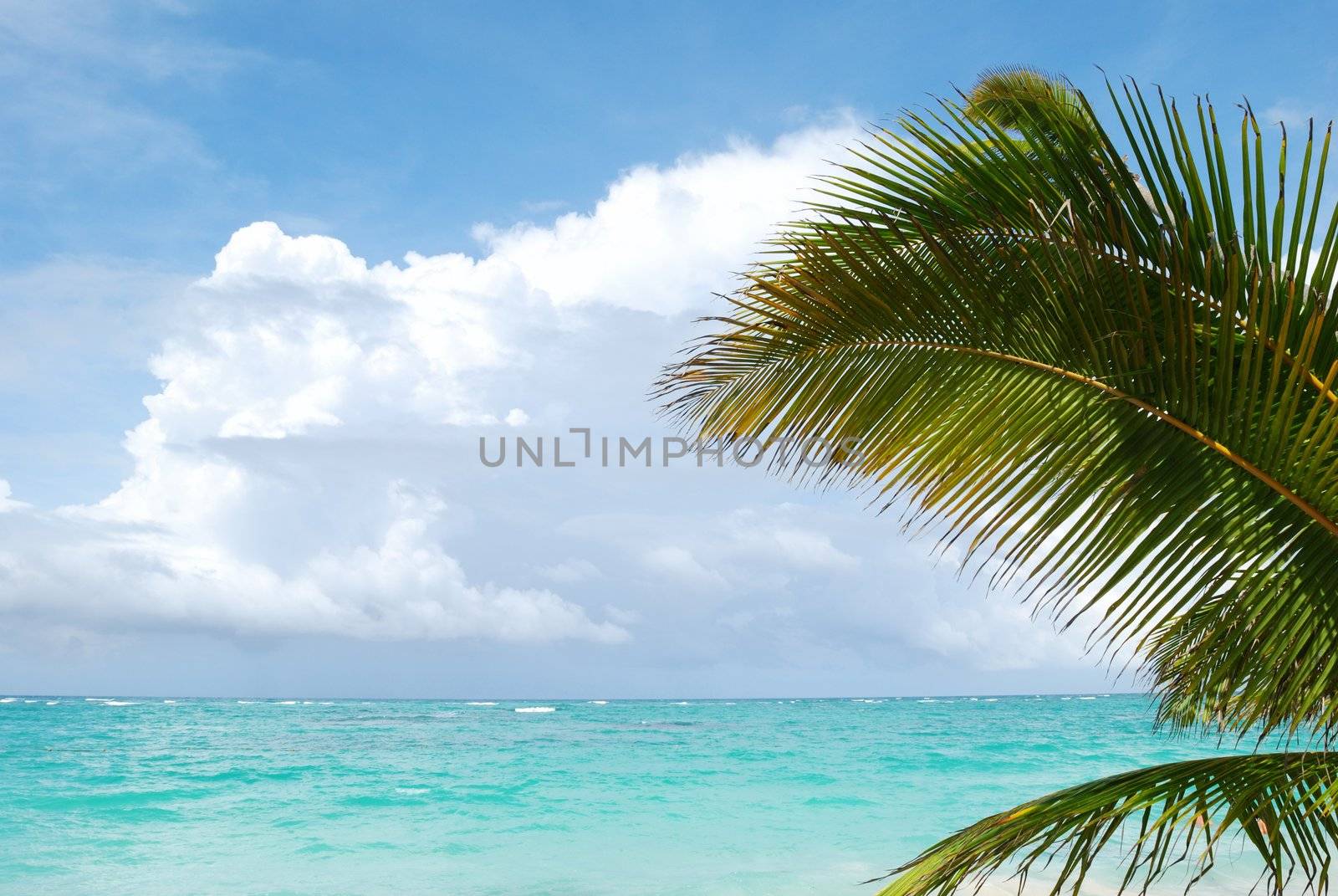 Beautiful caribbean beach in Dominican Republic