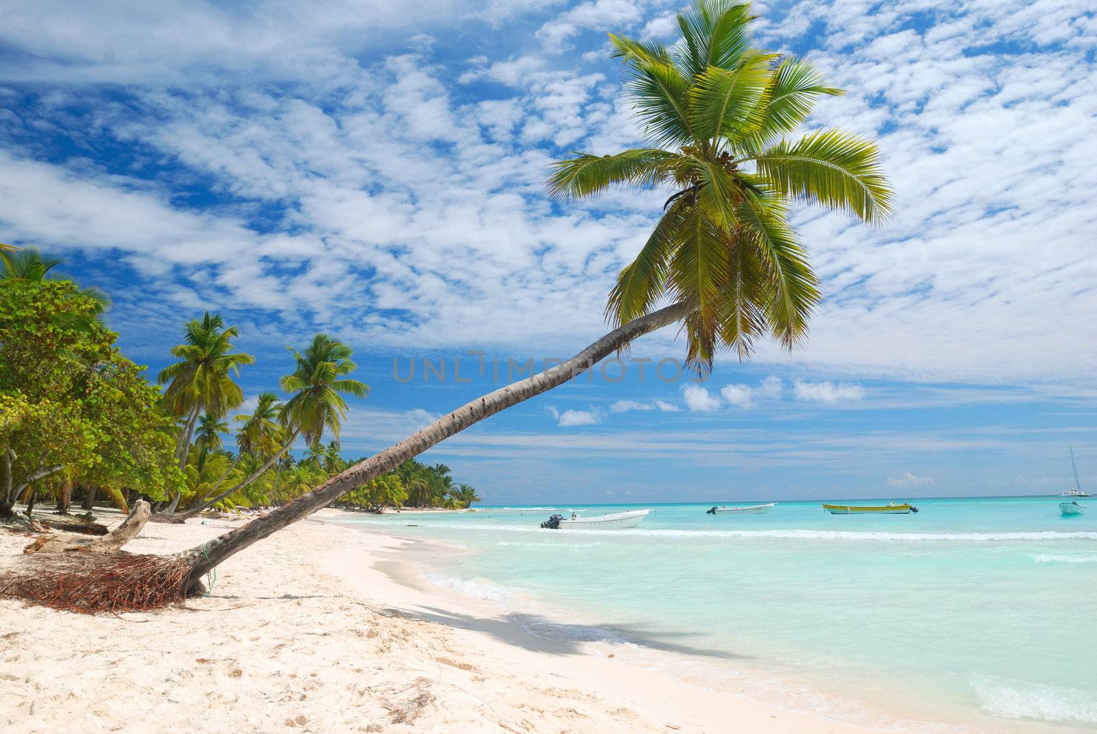 Beautiful caribbean beach in Dominican Republic