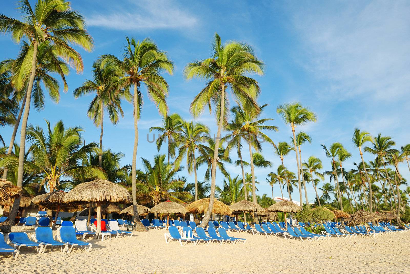 Beautiful caribbean beach with chaise lounge in Dominican Republic