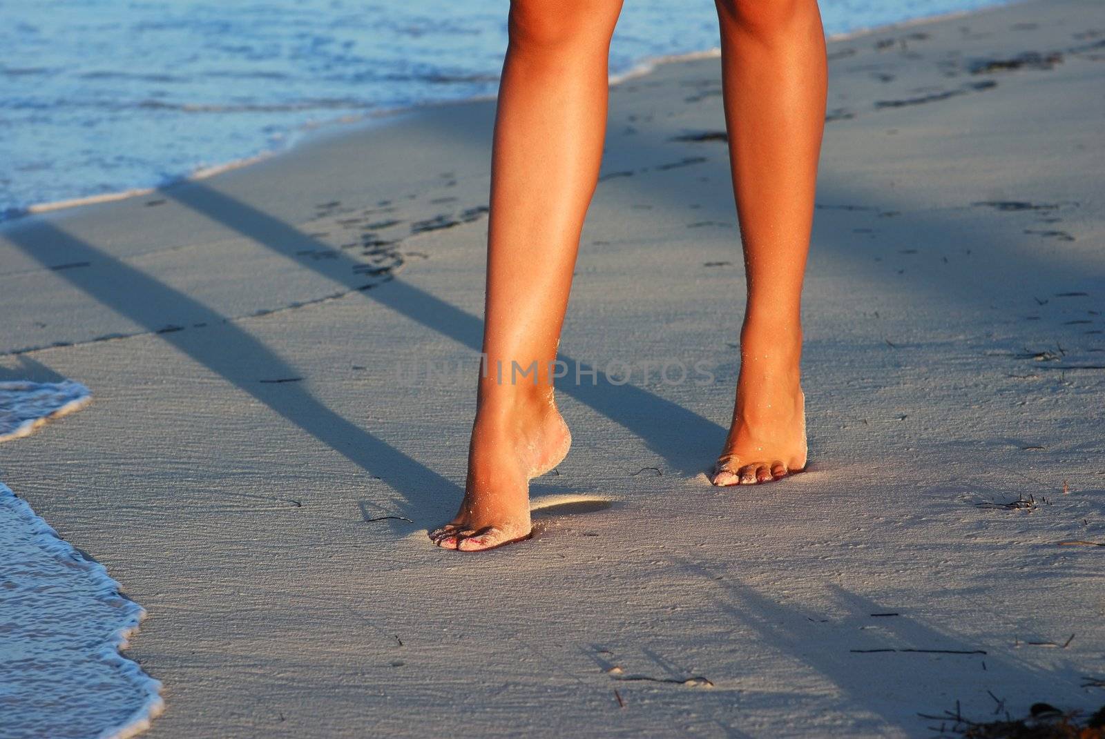 Women's sexy legs on the evening beach