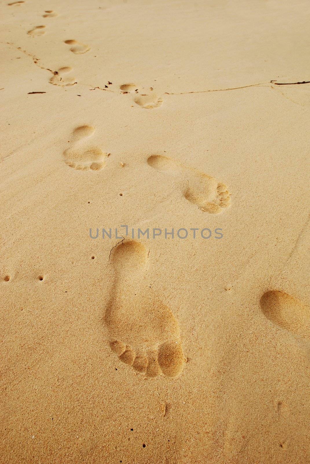 Footprints in the sand on caribbean beach