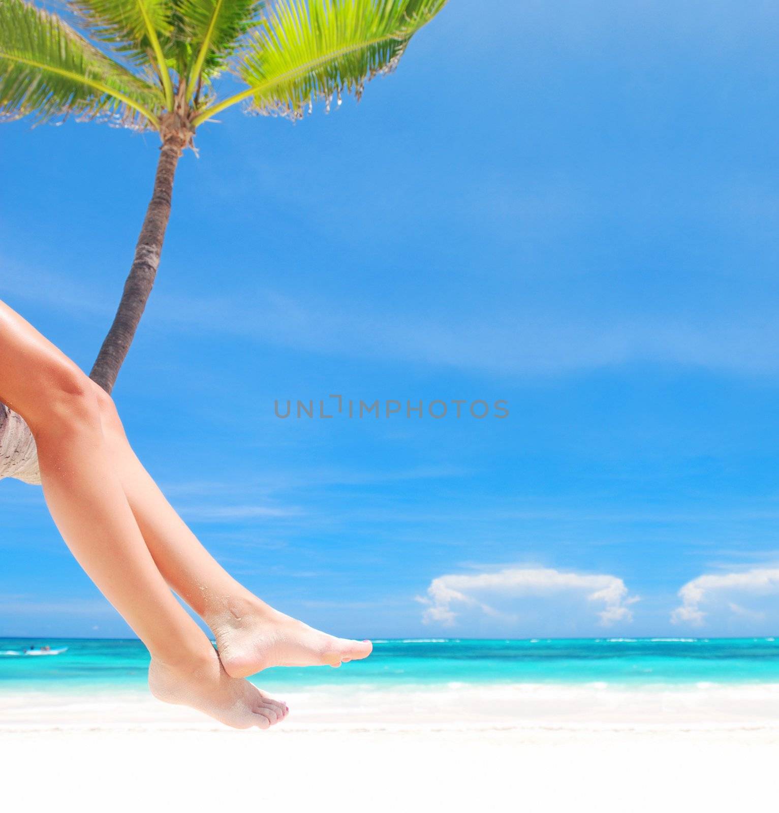 Woman on palm on caribbean beach