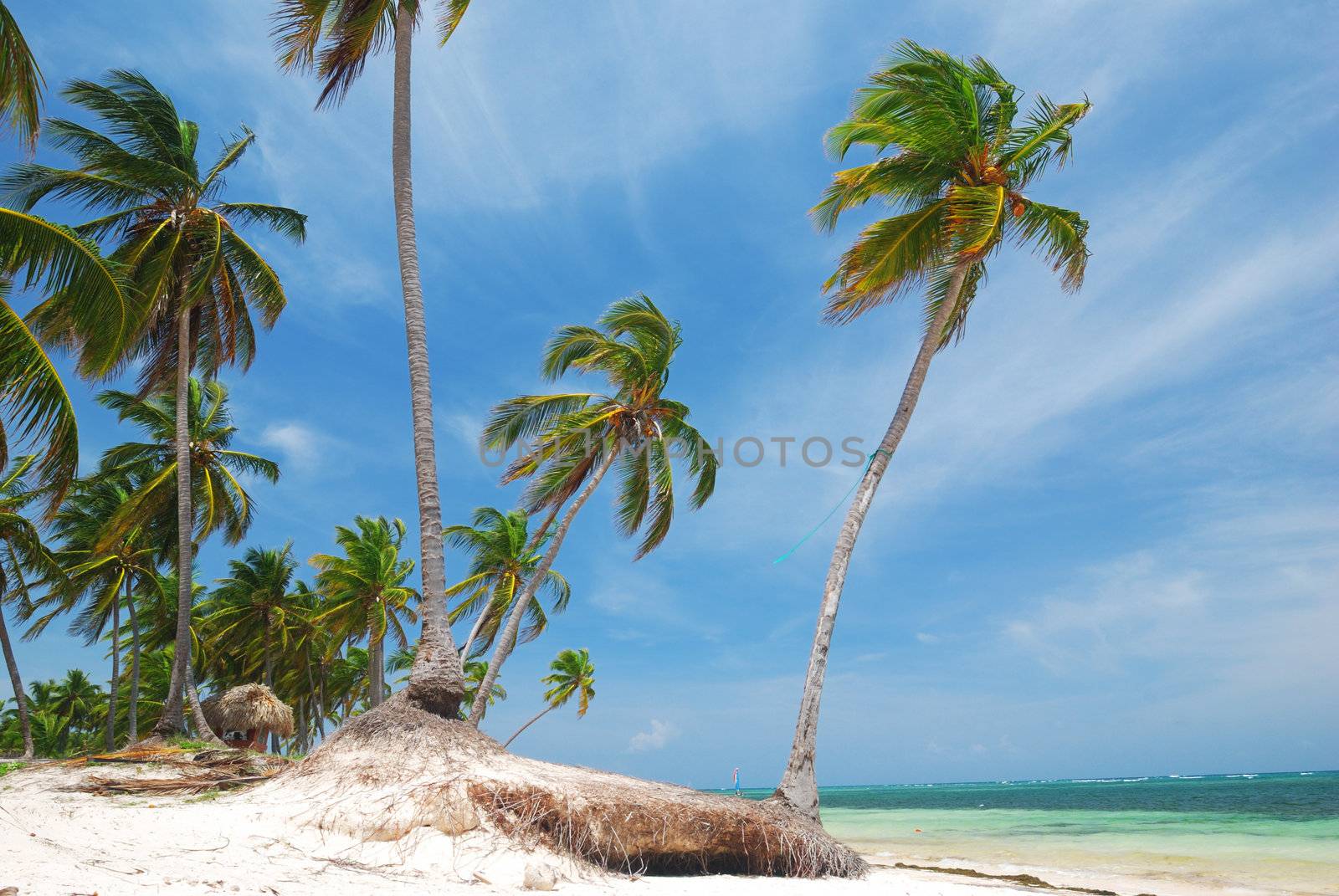 Wild caribbean beach in Dominican Republic