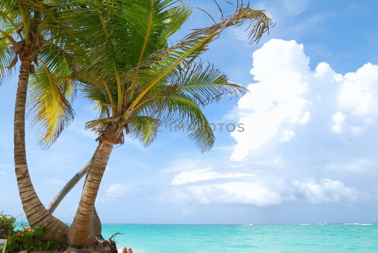 Caribbean beach by haveseen