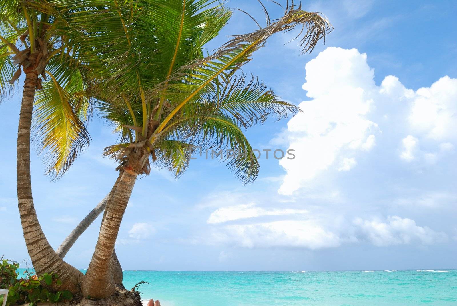 Beautiful caribbean beach in Dominican Republic