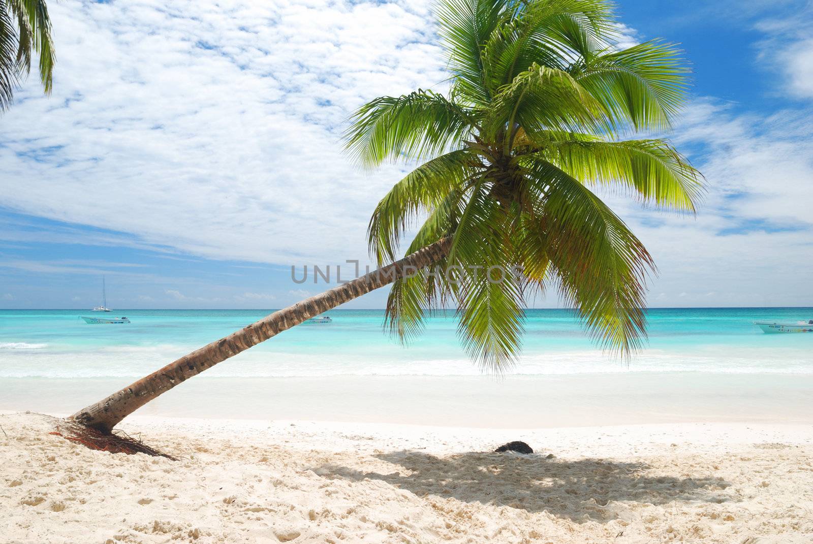 Beautiful caribbean beach in Dominican Republic
