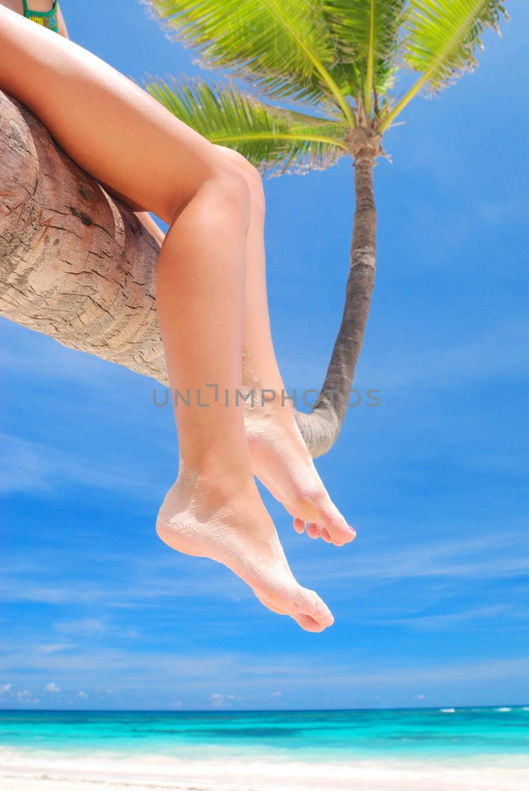 Girl on palm on caribbean beach