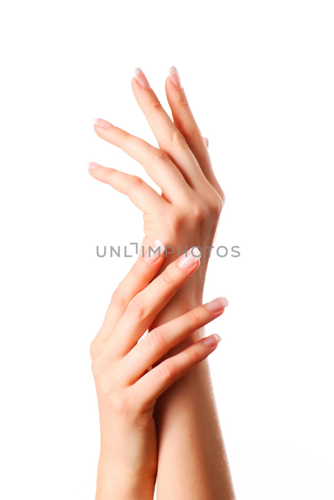 Beautiful hands by haveseen