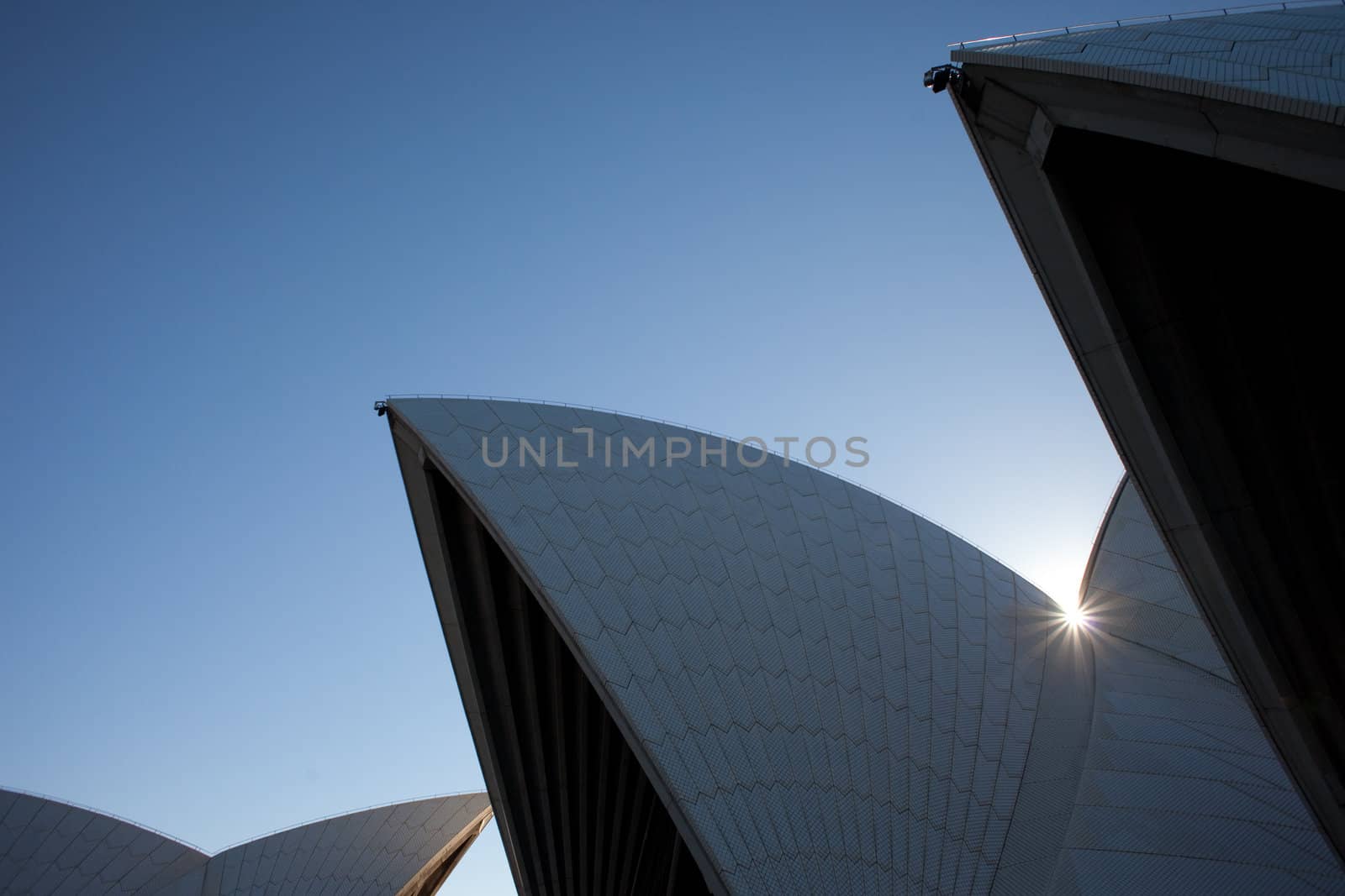 Sydney Opera House detail view by edan