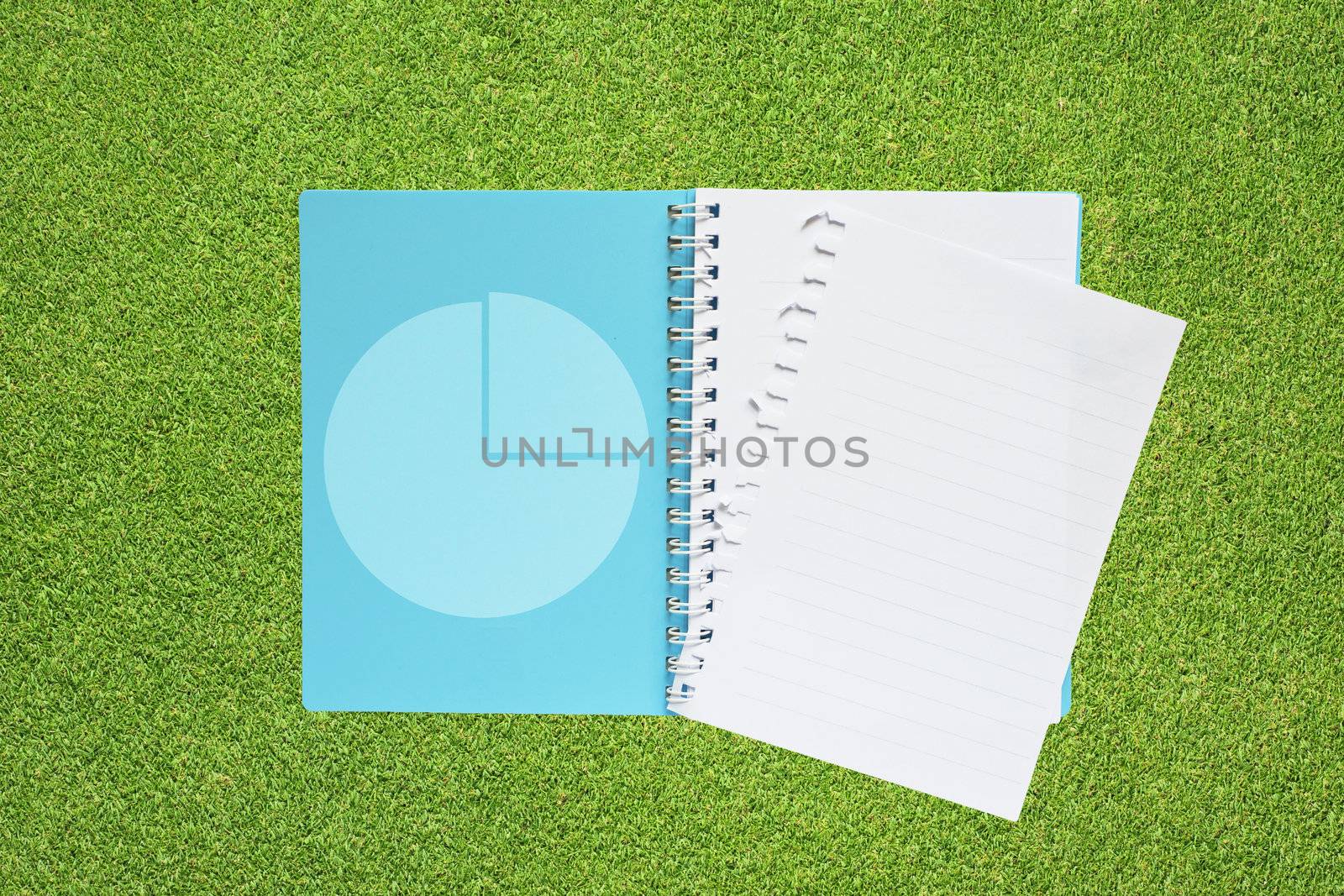 Book with pie chart icon on grass background 