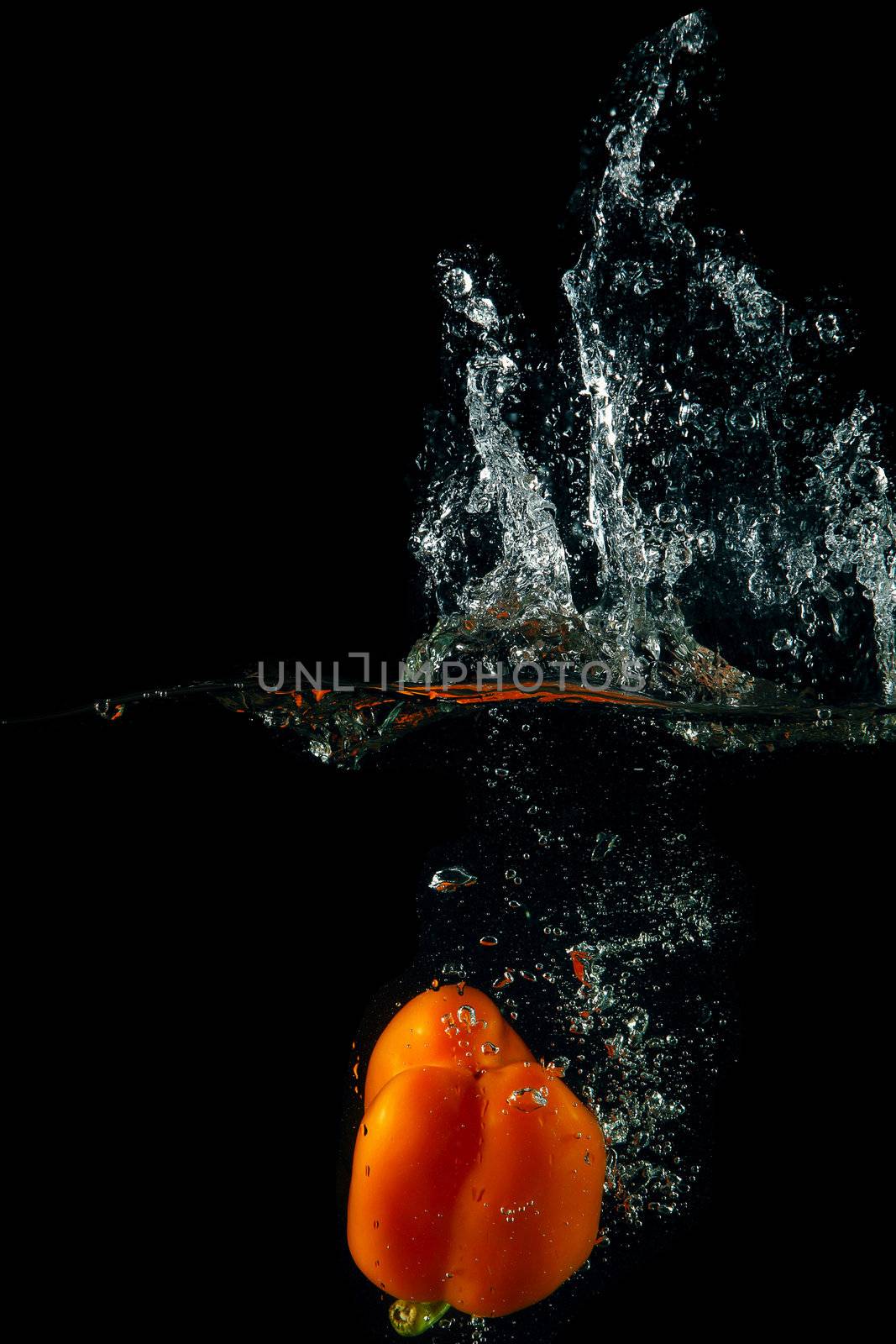 Colored orange paprika in water splashes on black background