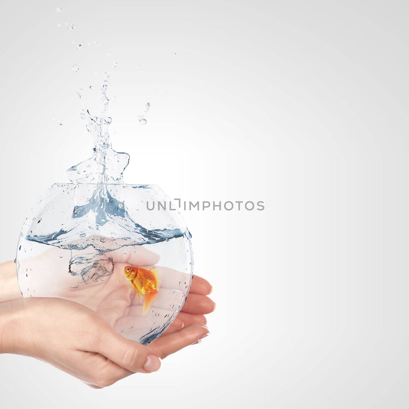 Illustration with goldfish in aquarium on white background