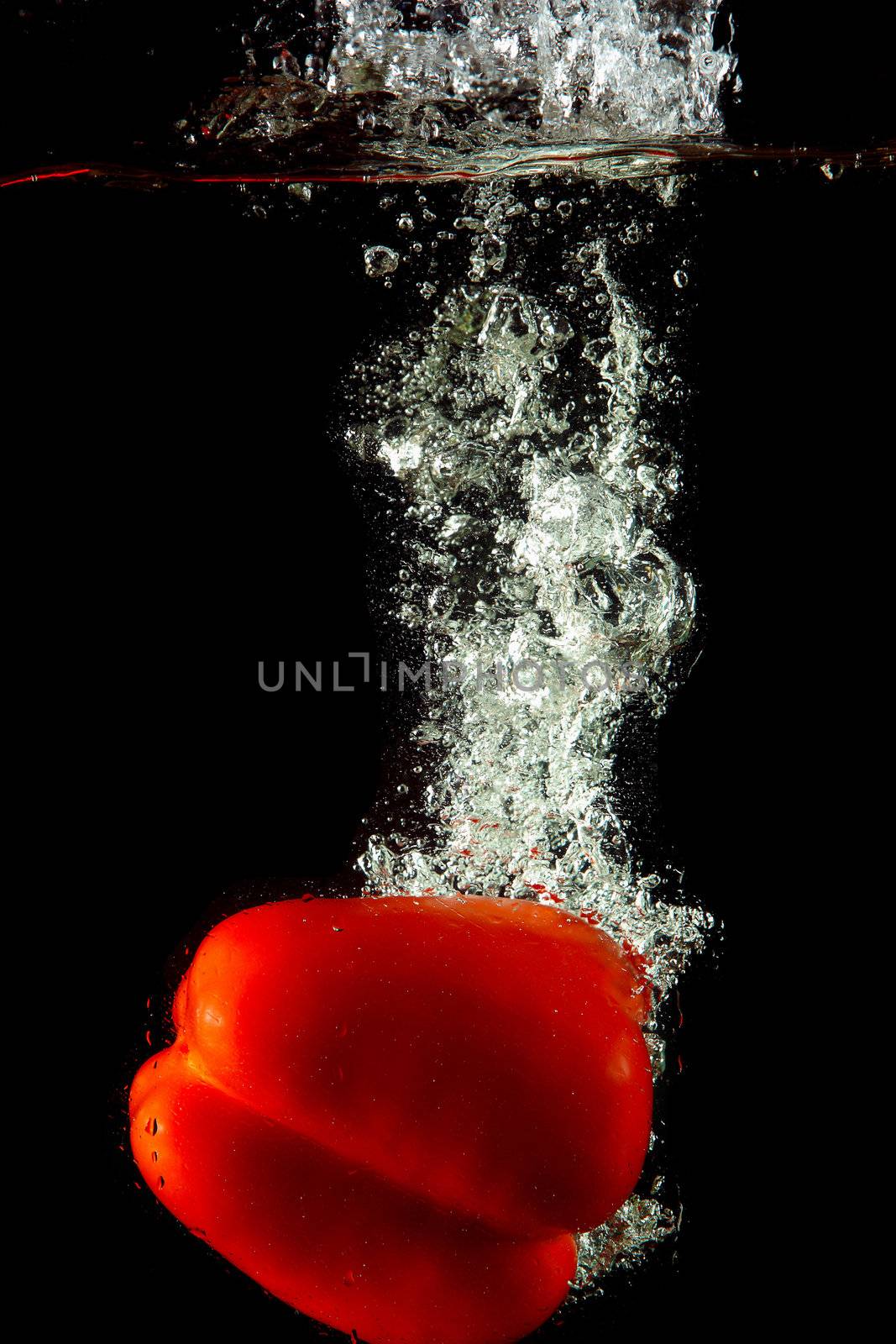 Colored red paprika in water splashes on black background