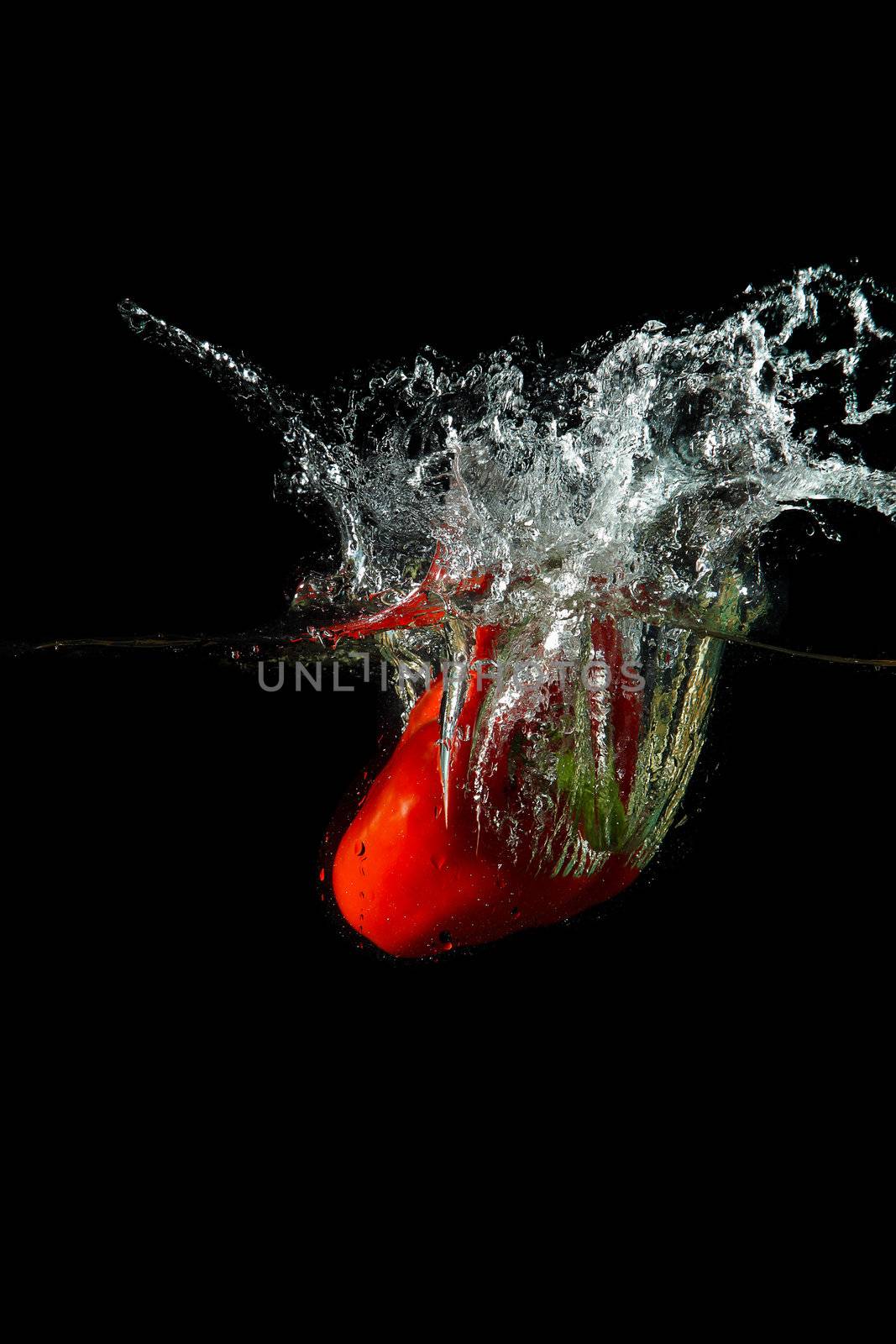 Colored red paprika in water splashes on black background