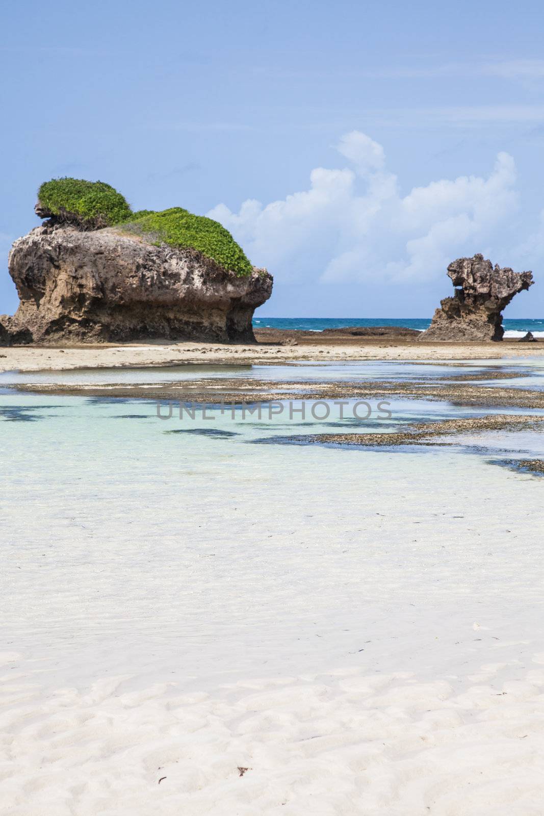 Watamu, close to Malindi, Kenya. The most beutiful beach of the area. Copy space.