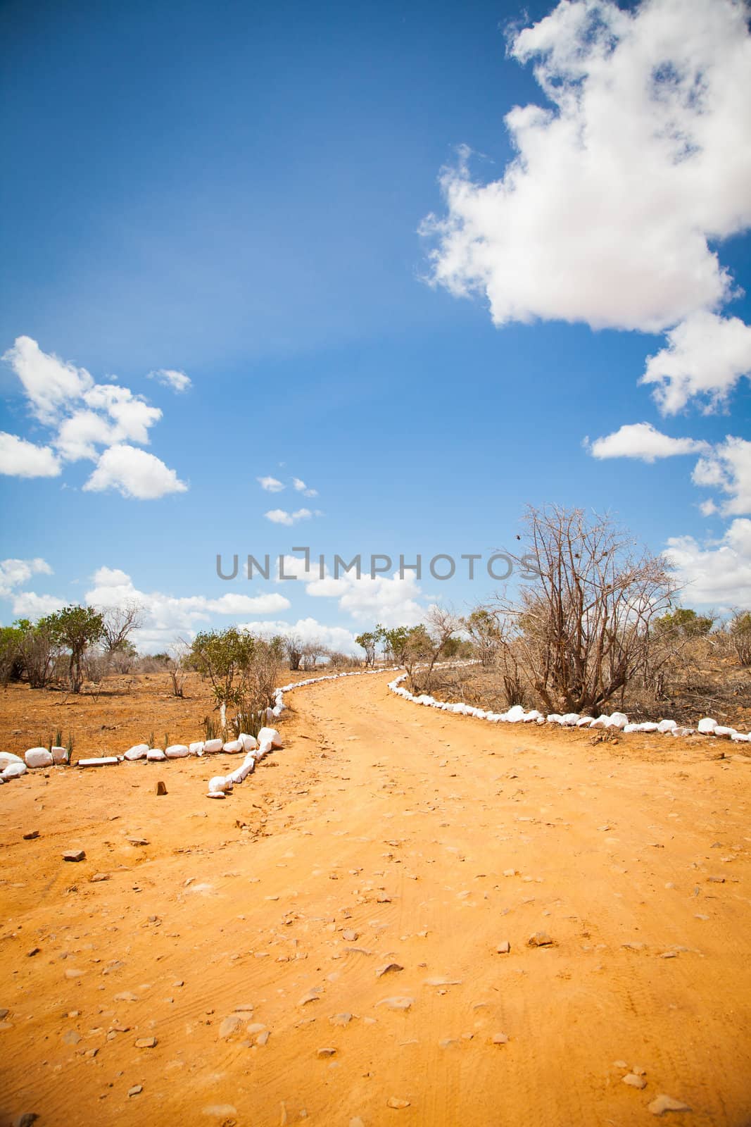 Kenya. Blue sky on this orange road in the middle of African Savana, Tsavo East National Park