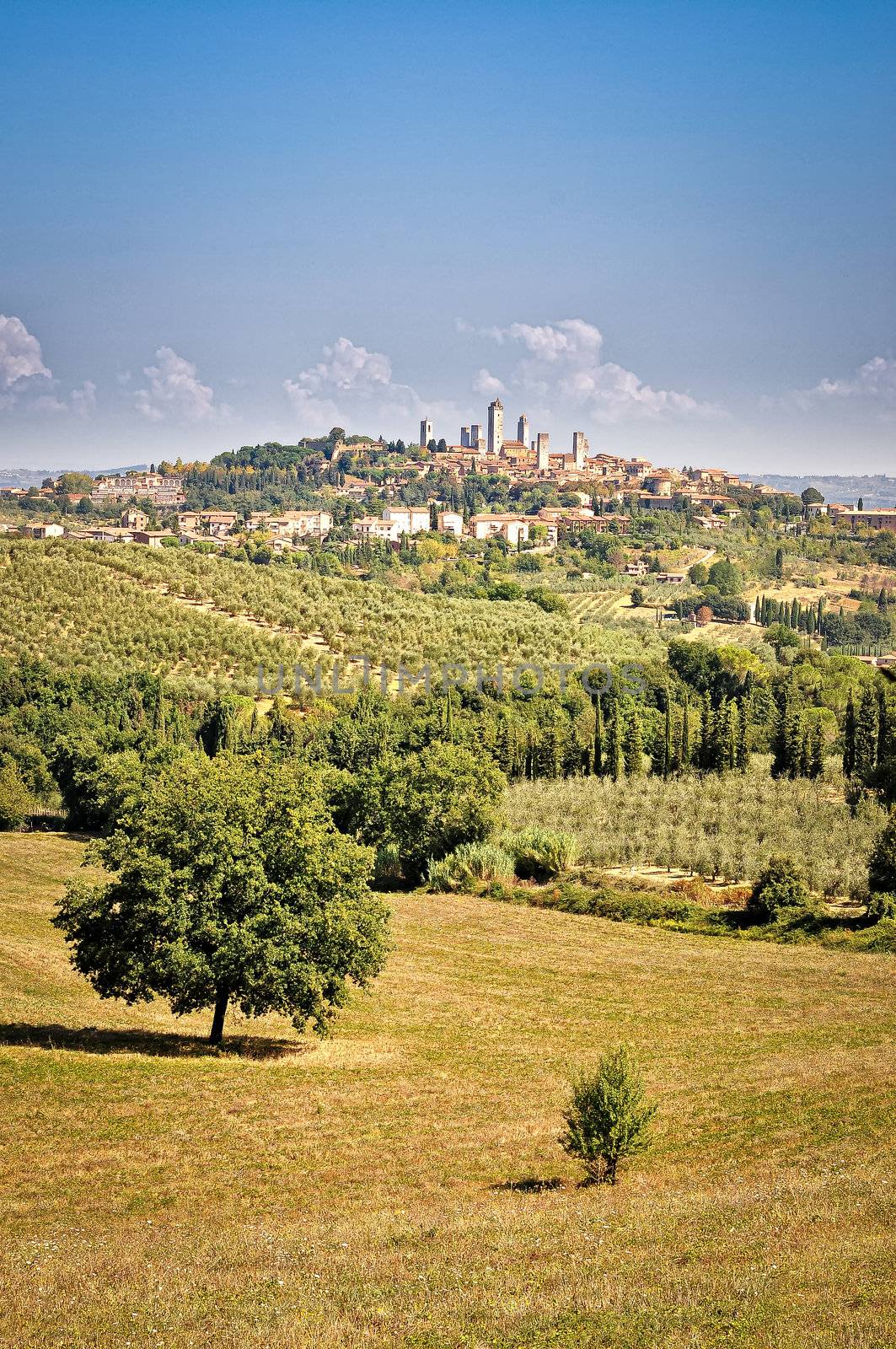 San Gimignano village and fields and meadows landscape view