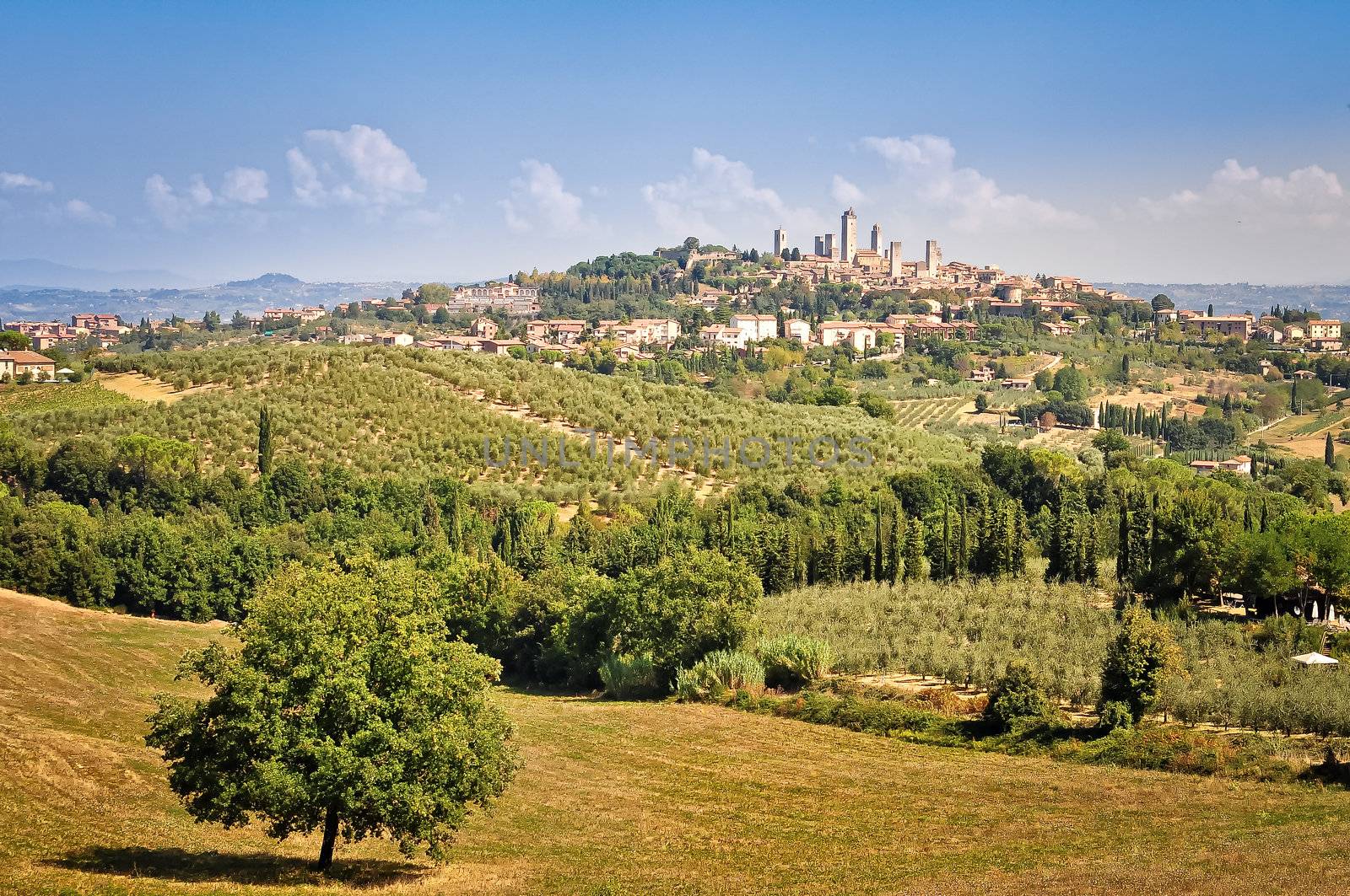 San Gimignano village and fields landscape view by martinm303