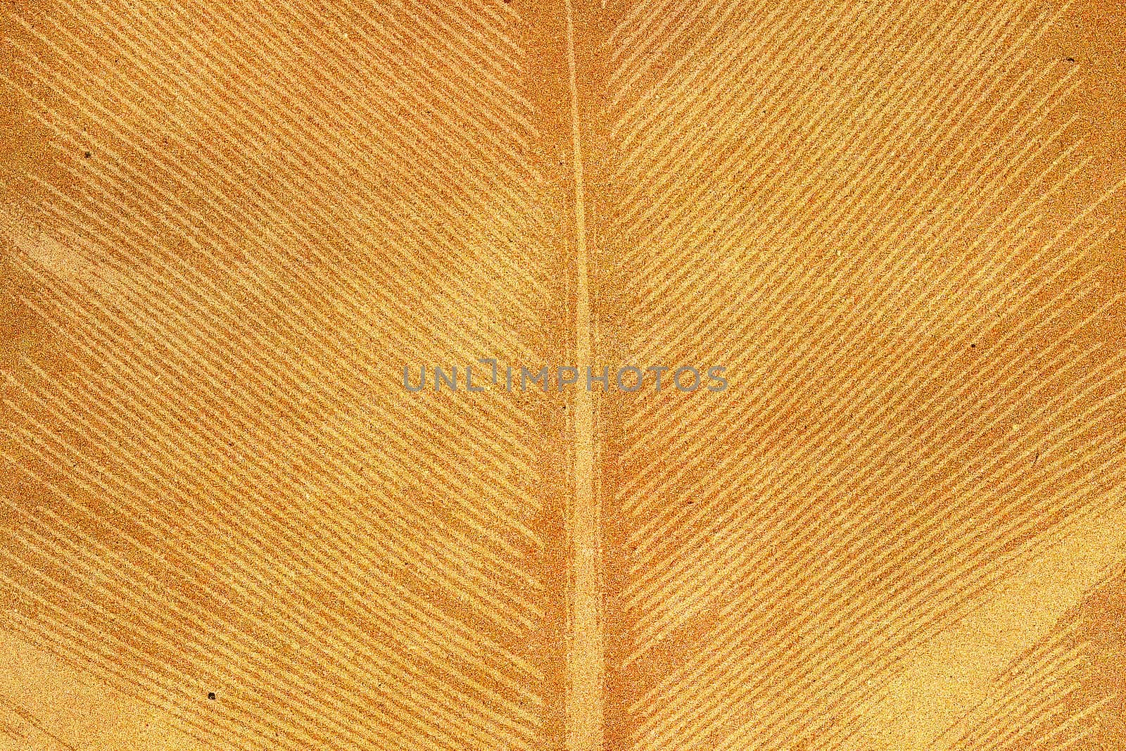 Palm leaf textured on grunge paper background by jakgree