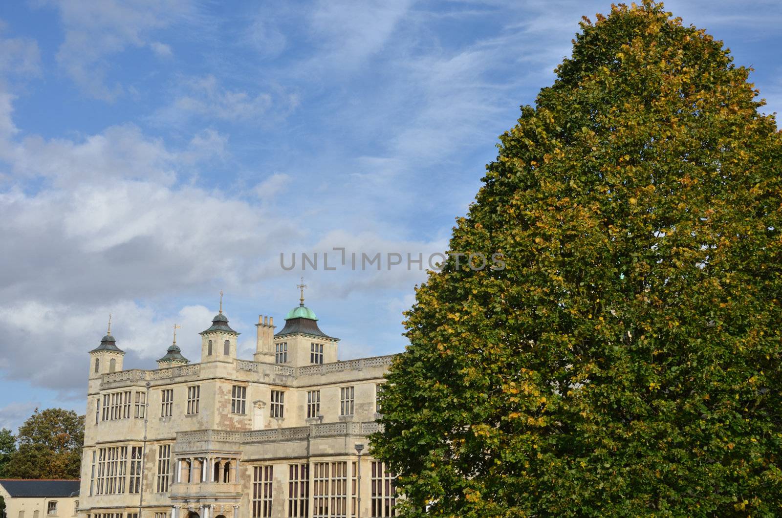 stately home with tree