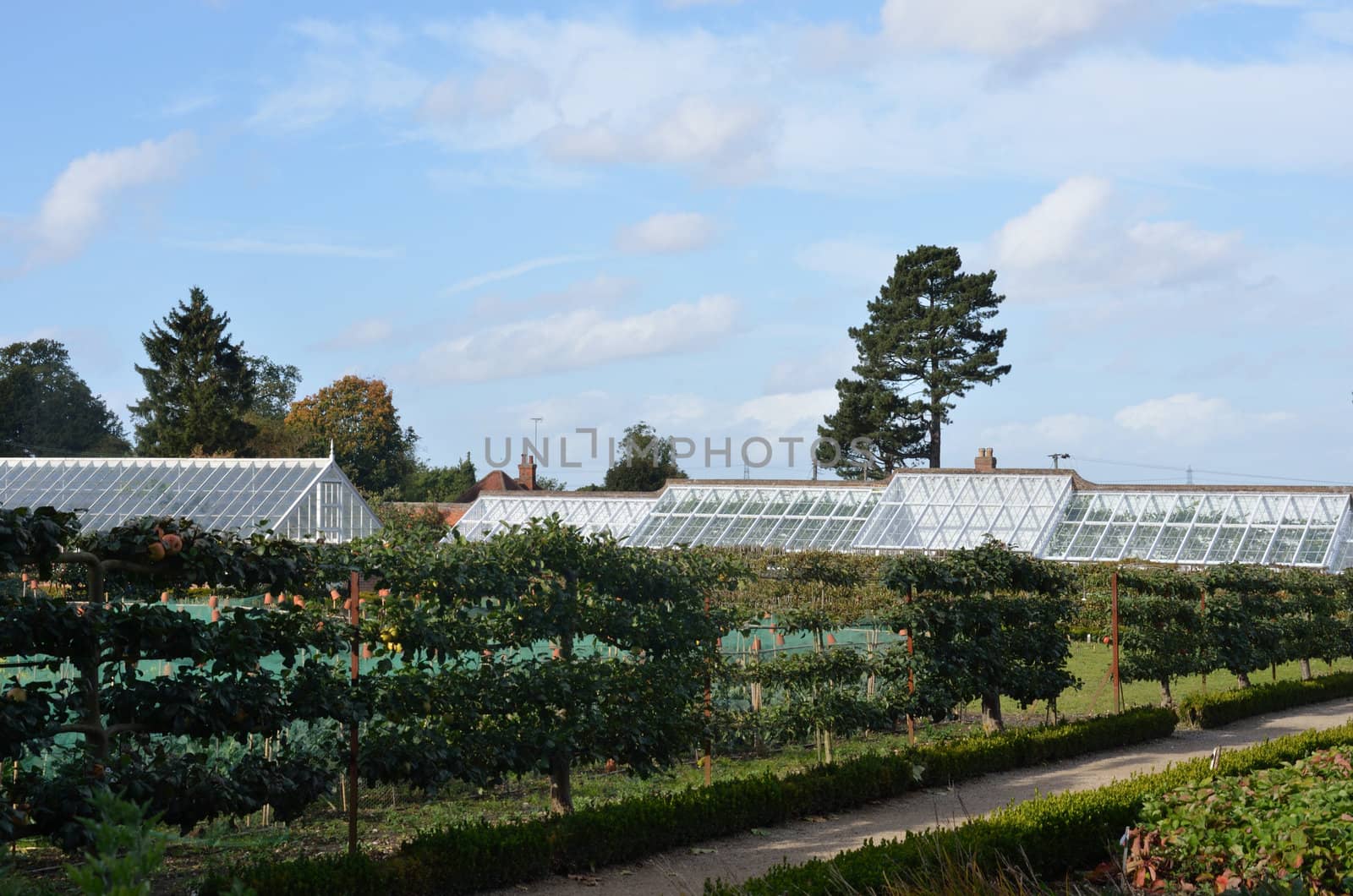 traditional walled garden