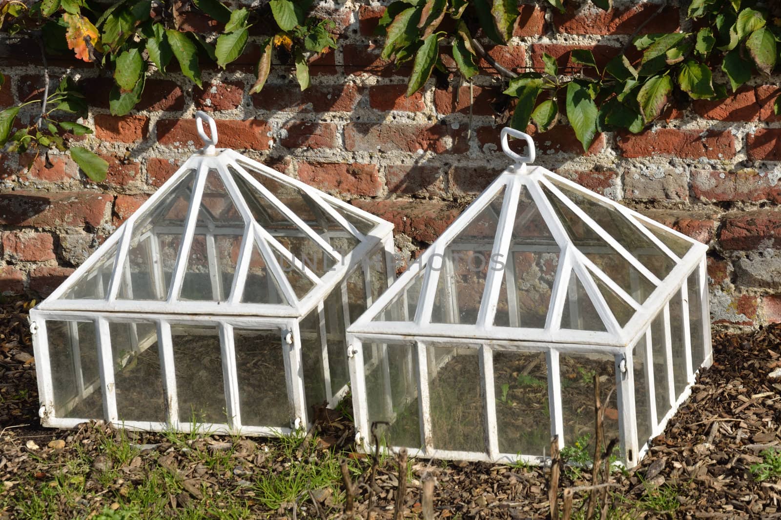 white cloches