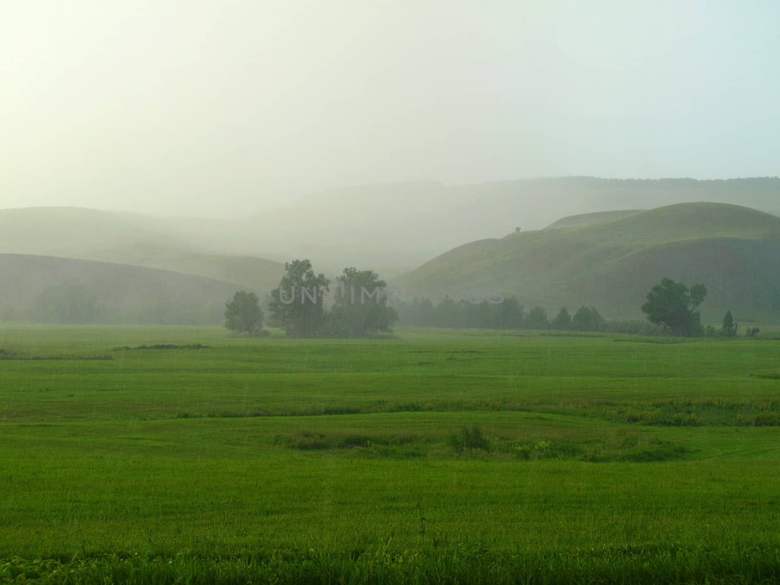 Summer landscape with downpour