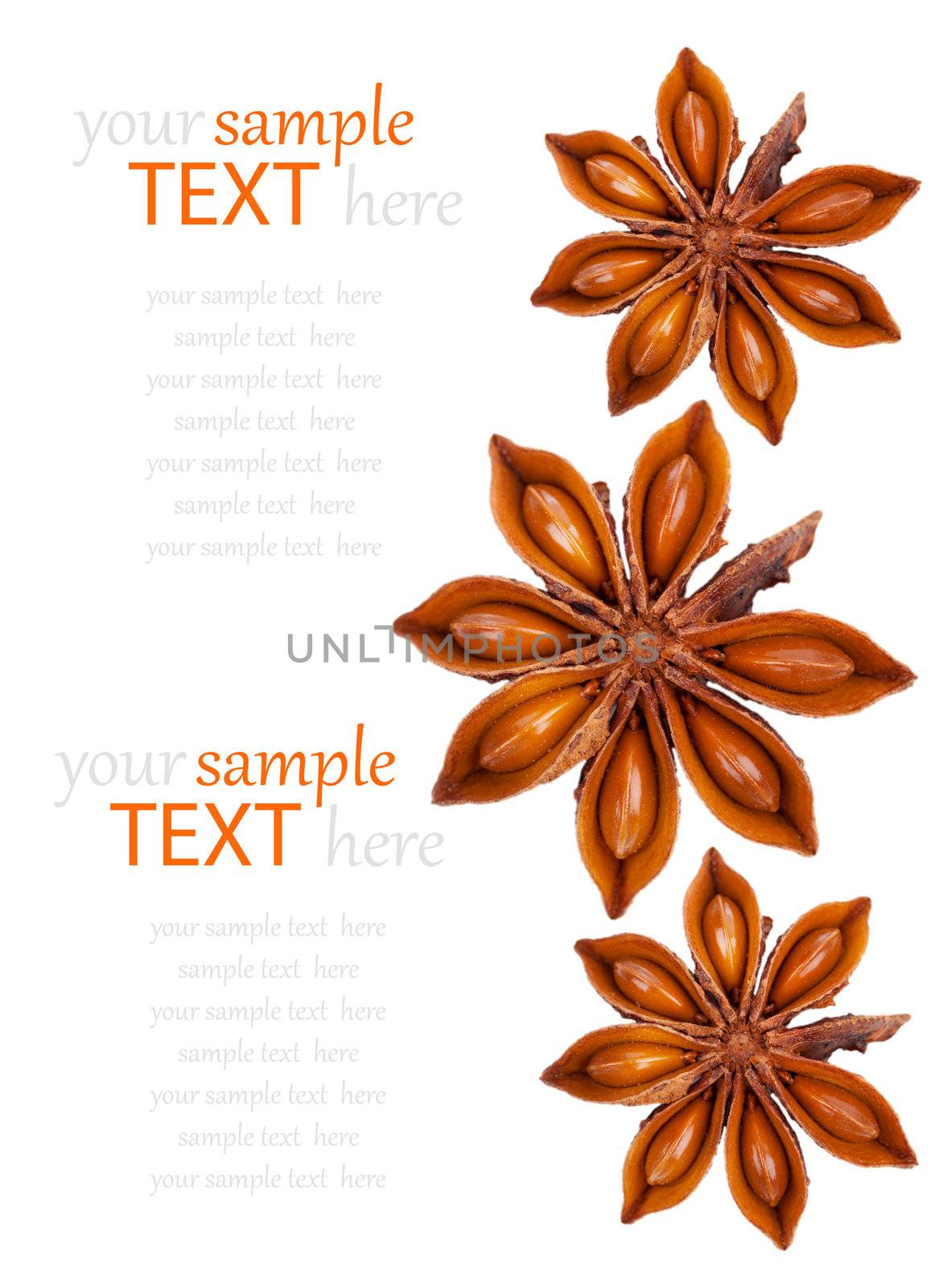 Whole Star Anise isolated on white background, with copy space by motorolka