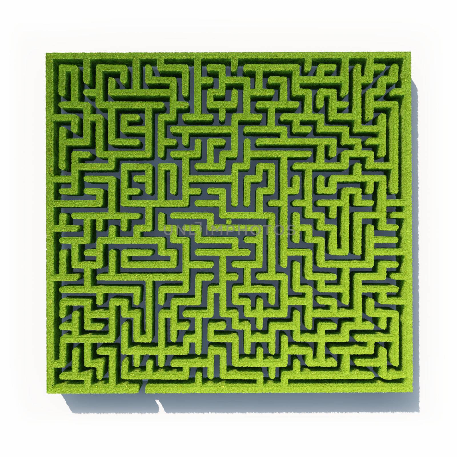 green grass maze background.