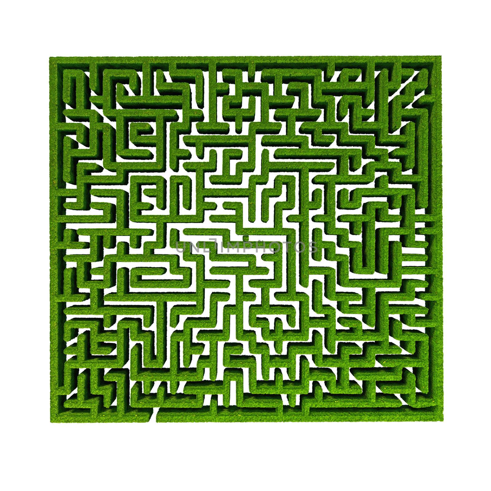 green grass maze background.