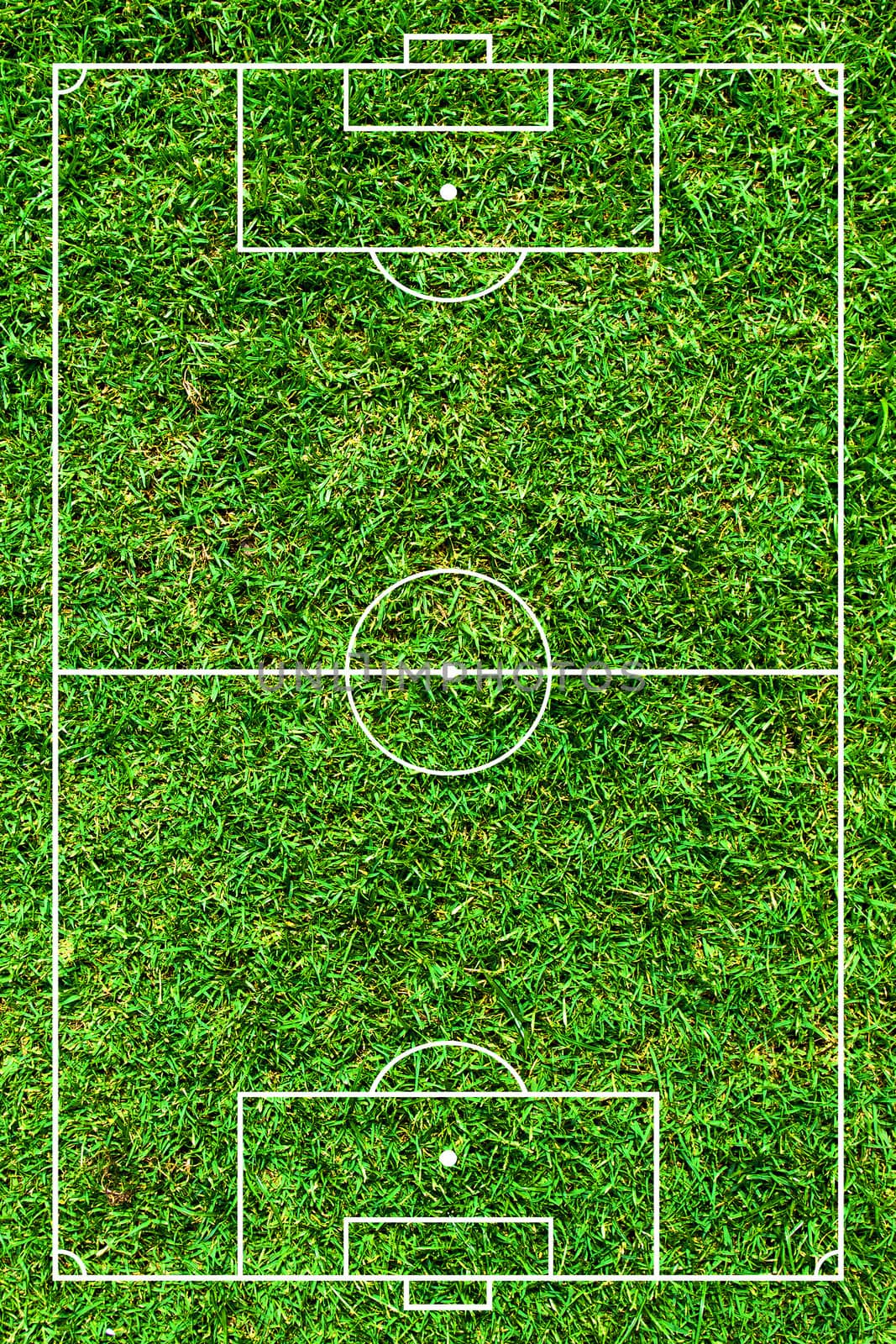 Football or soccer green field by jakgree