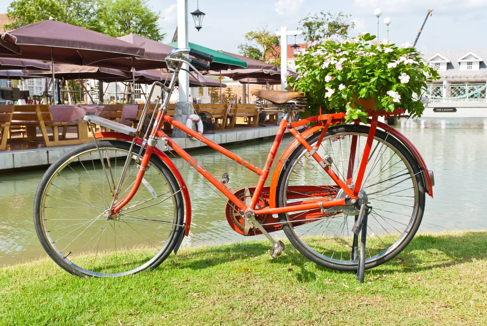 Red bicycle on green grass