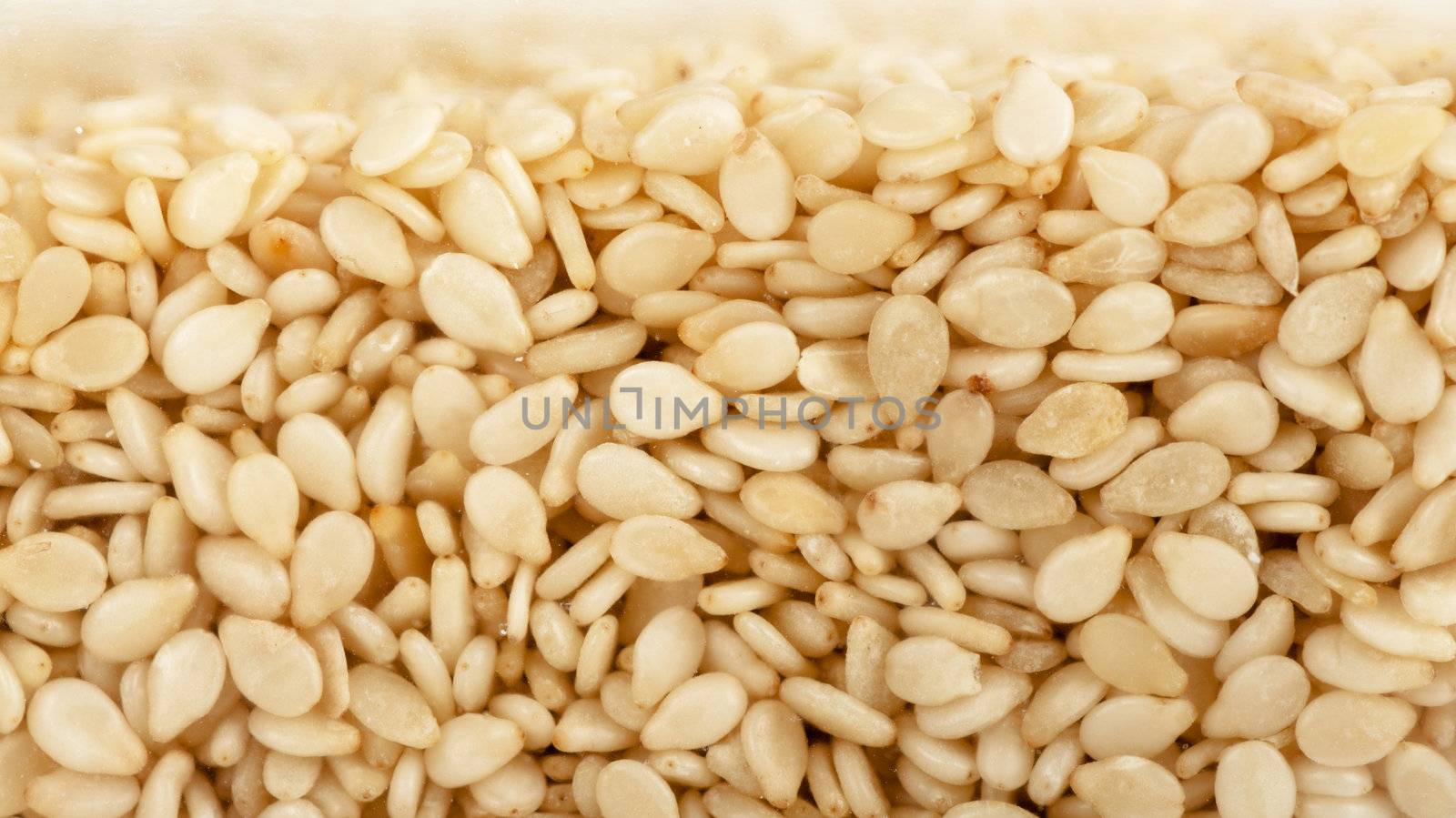 Macro view of a heap of sesame seeds behind glass