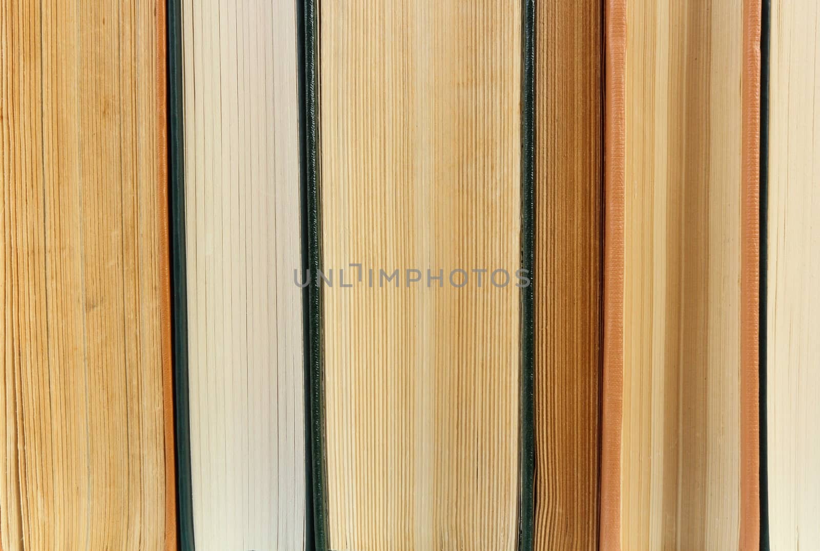 old books pages by taviphoto