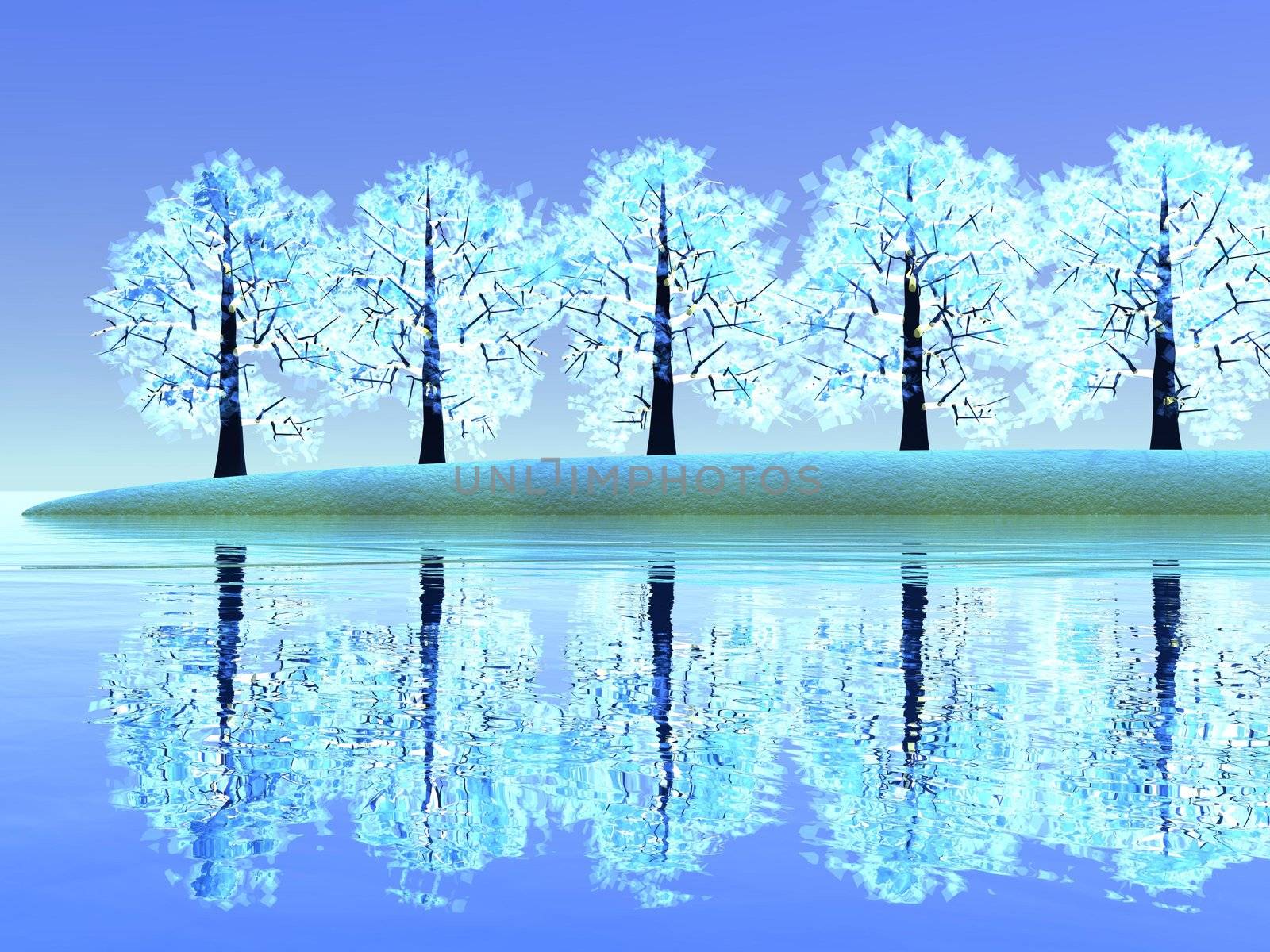 Beautiful winter landscape with trees reflecting into water by blue day