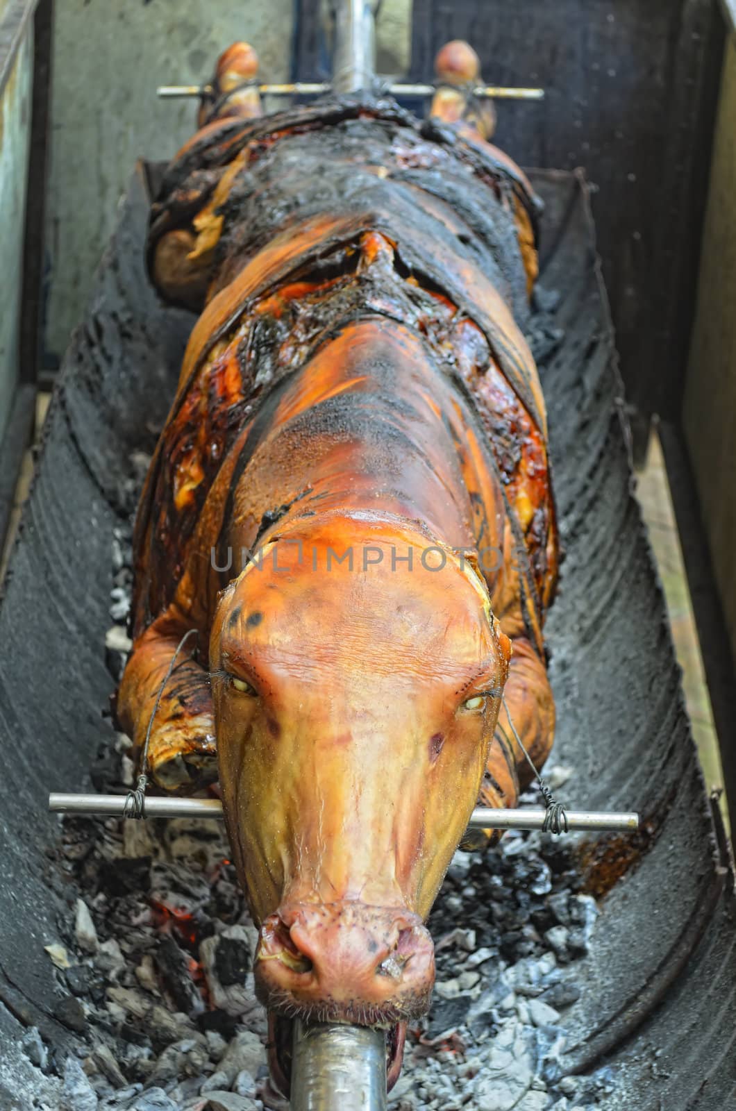 Close-up of cow roasting during a Philippine fiesta