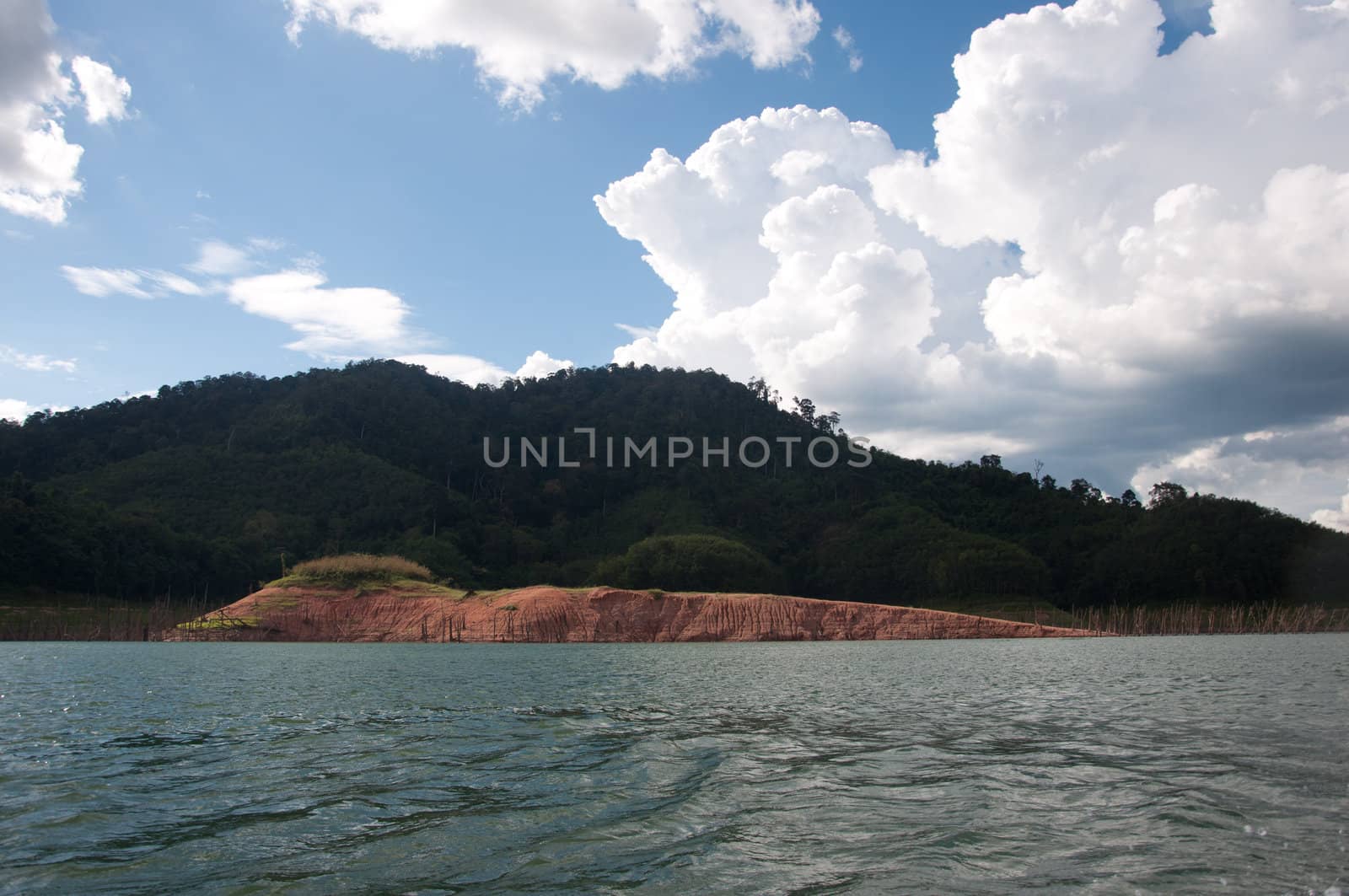 Balahala Forest in yala, thailand - Balahala forest is most perfectly forest in South of Thailand