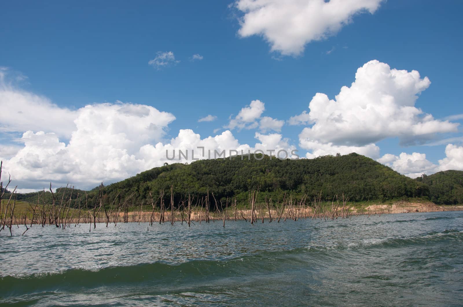 Balahala Forest in yala, thailand by ngarare