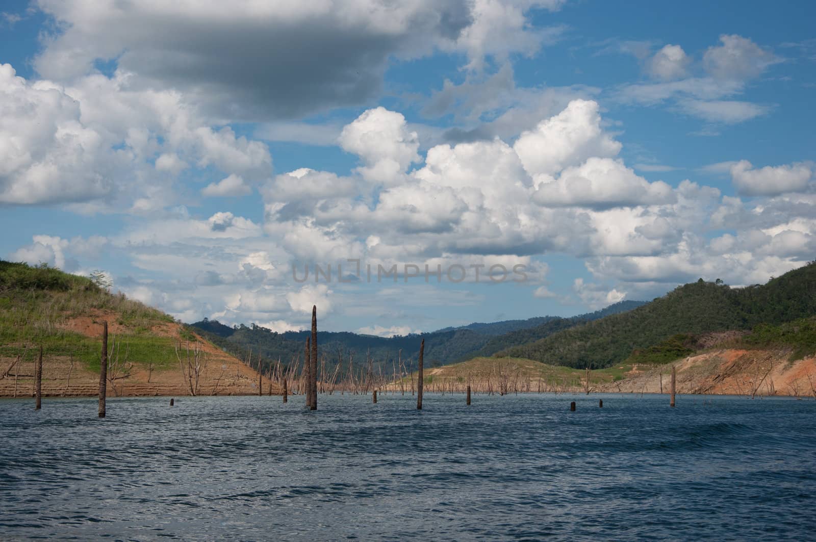 Balahala Forest in yala, thailand by ngarare