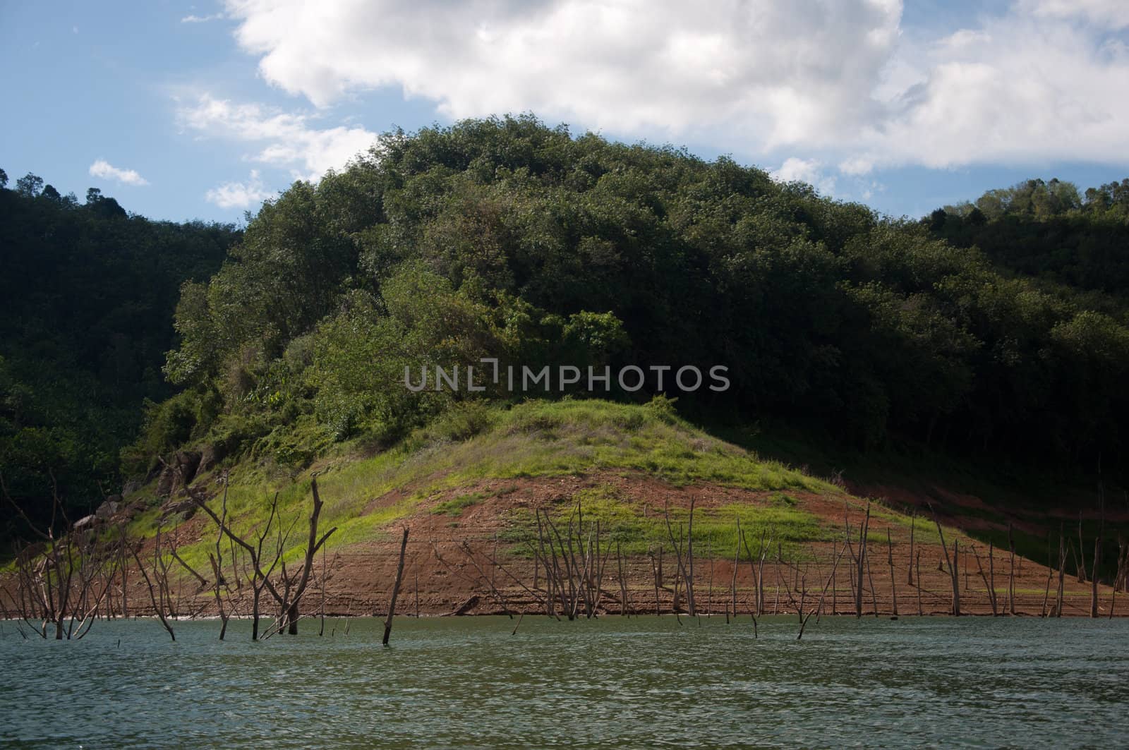 Balahala Forest in yala, thailand - Balahala forest is most perfectly forest in South of Thailand