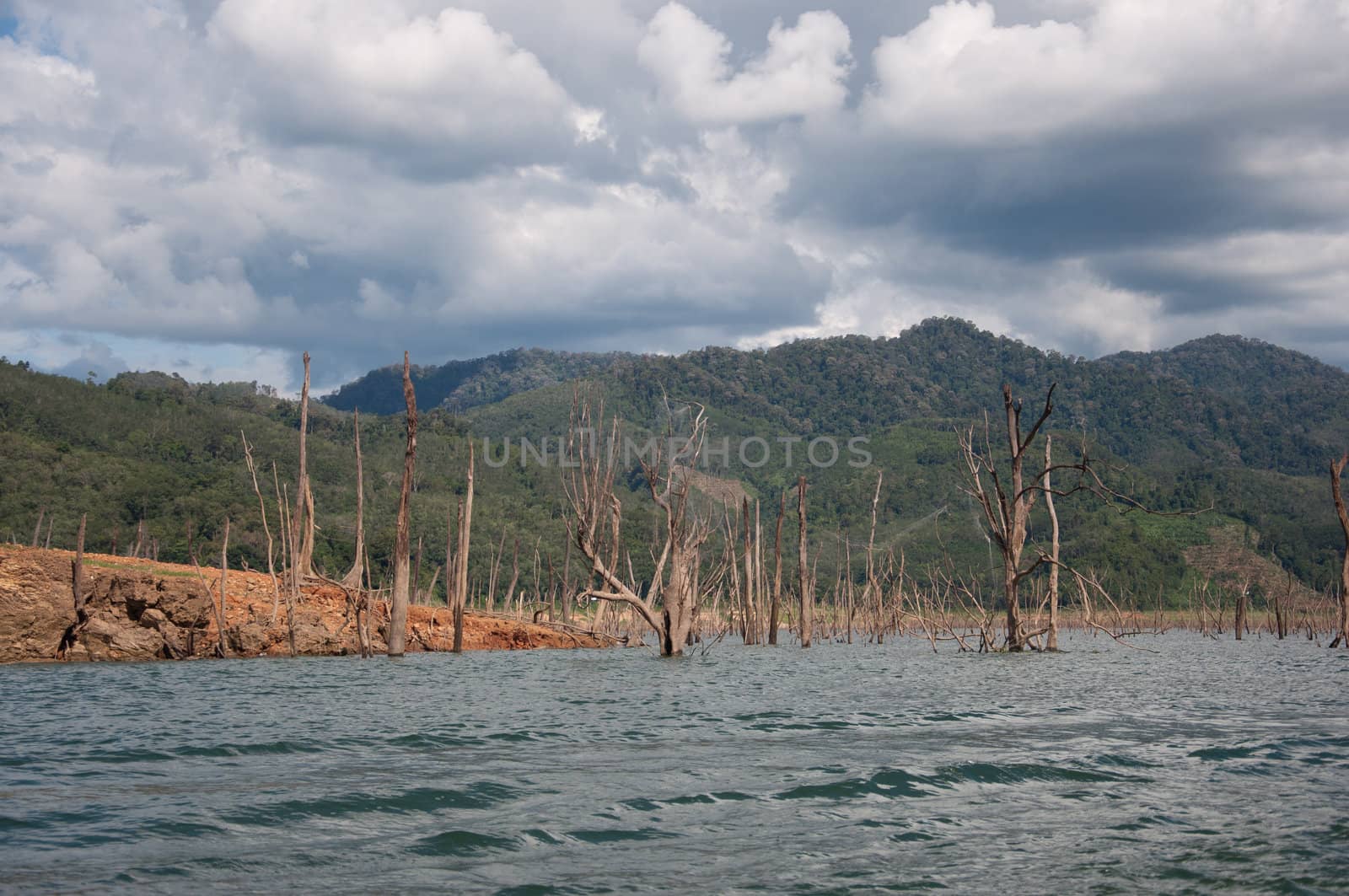 Balahala Forest in yala, thailand by ngarare