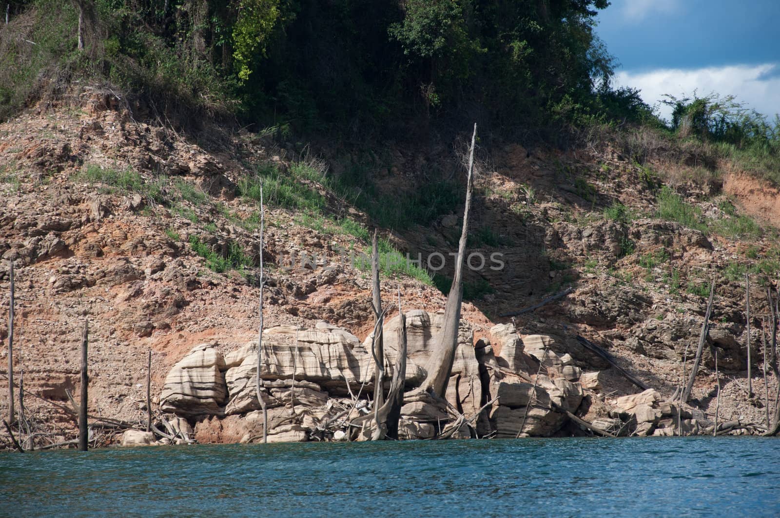 Balahala Forest in yala, thailand - Balahala forest is most perfectly forest in South of Thailand